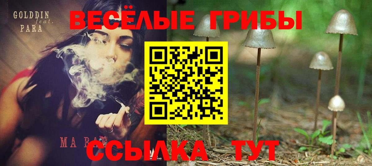 Новокубанск  Галлюциногенные грибы мицелий  Вход с VPN 