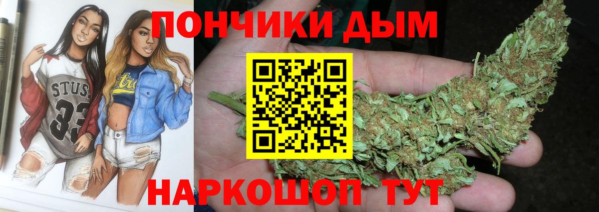 Канабис семена Новокубанск